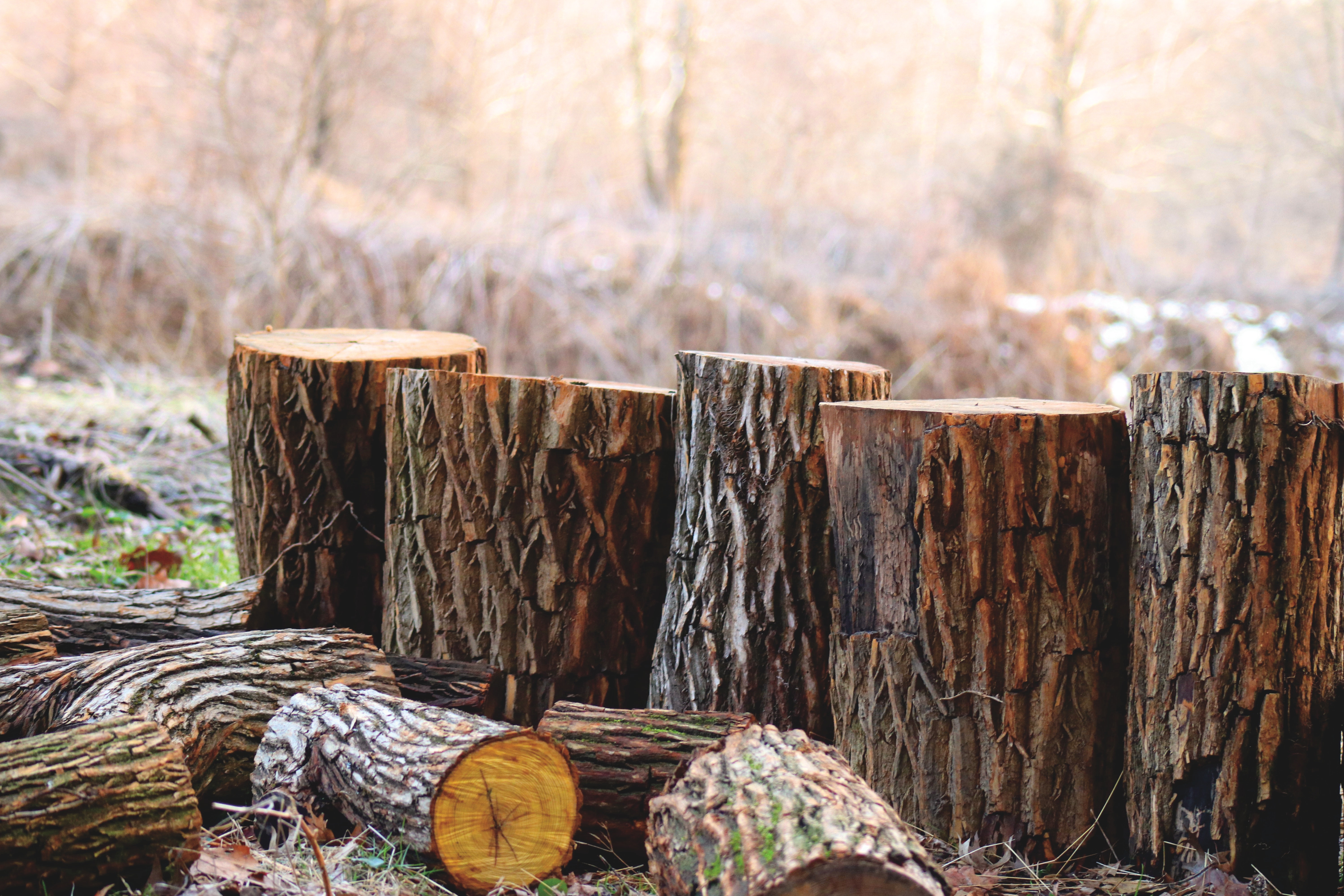 logs in a pile debugging vs logging image